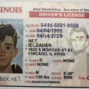 New York State Driver's License - Image 9