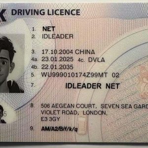 UK DRIVING LICENCE