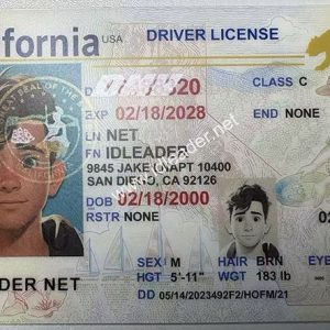 New York State Driver's License - Image 8