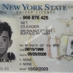 New York State Driver's License