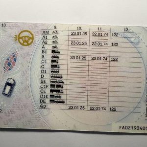 UK DRIVING LICENCE - Image 2