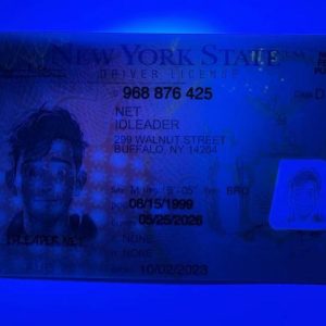 New York State Driver's License - Image 5