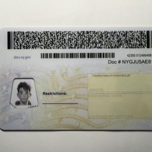 New York State Driver's License - Image 3