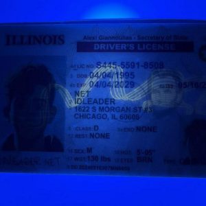 New York State Driver's License - Image 2